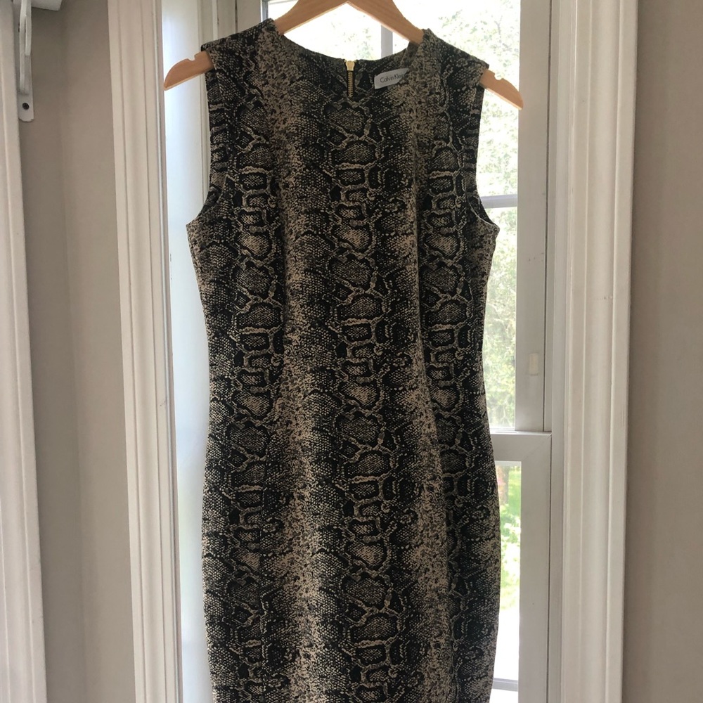 Calvin Klein Dress